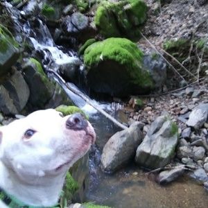 Meet your Posher, Benay